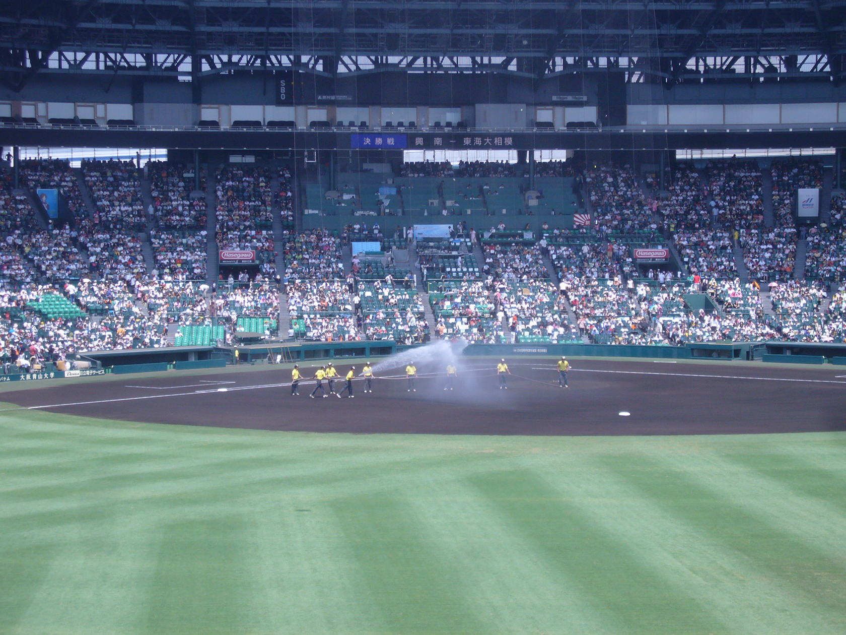 甲子園関係者２Lサイズ