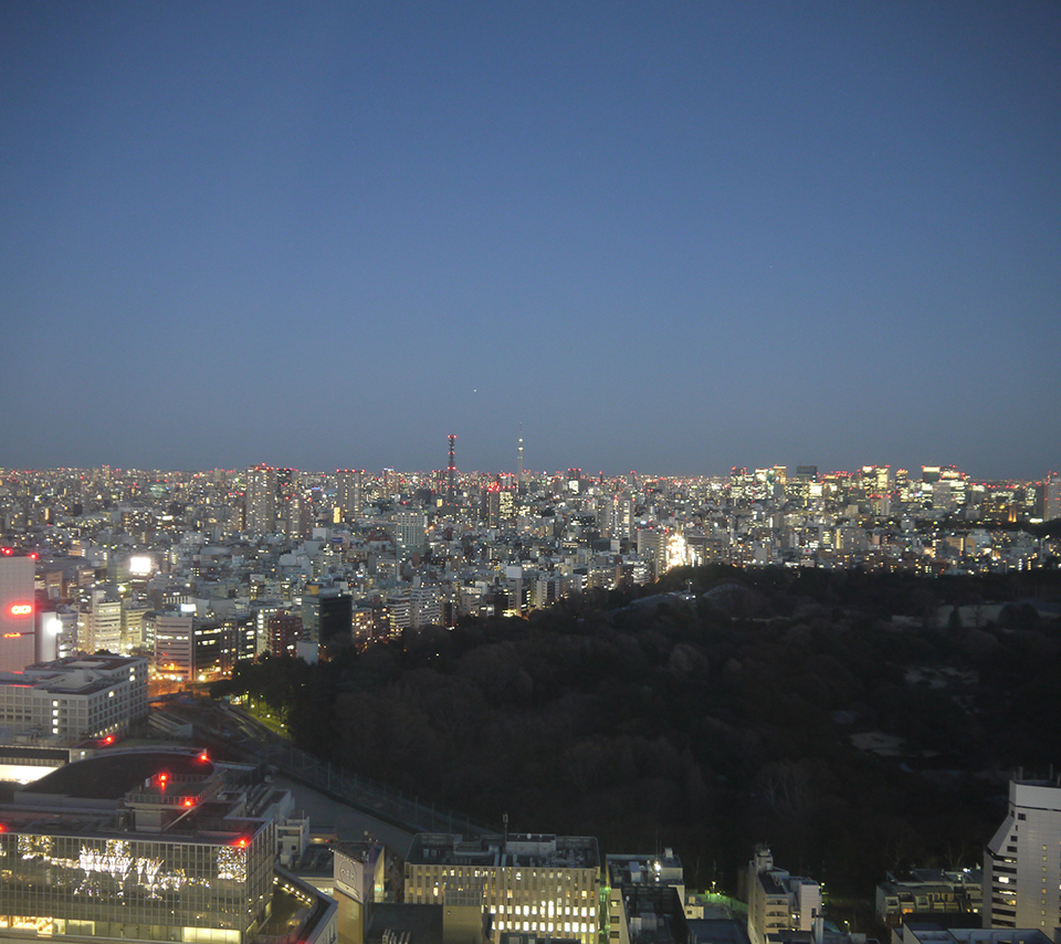 新宿夜景１スマホ用