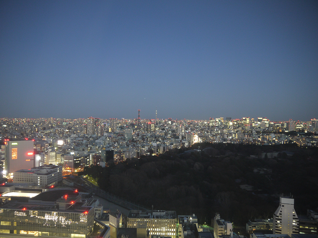 新宿夜景１タブレット用