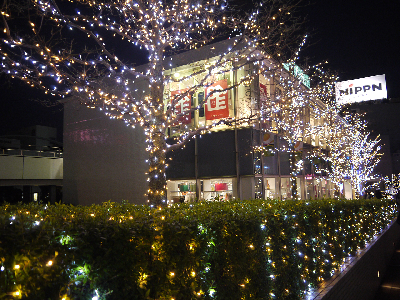 新宿夜景４Lサイズ